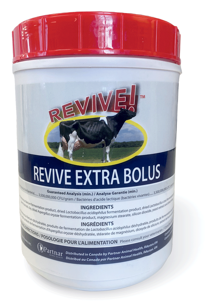 REVIVE Extra Boluses 35/jar