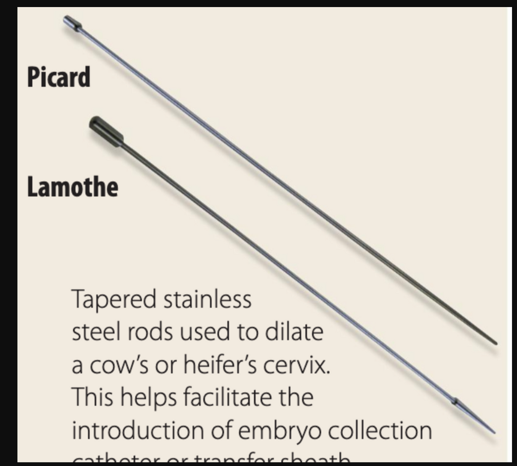 Picard Cervical Dilator, 20-7/8"