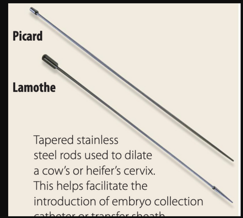 Picard Cervical Dilator, 20-7/8"
