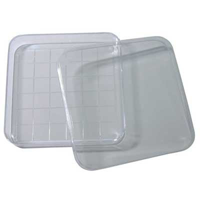 Square Dish with Lid Gridded 10/pk – Partnar Animal Health