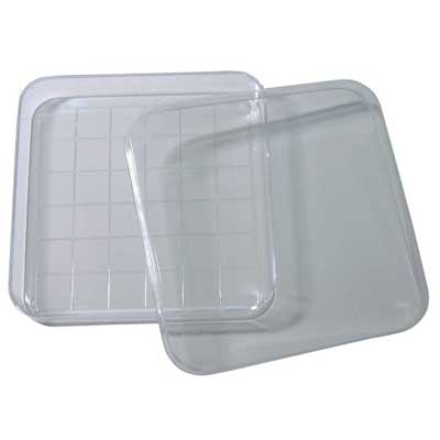 Square Dish with Lid Gridded 20/pk